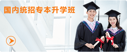 国内统招专本升学班