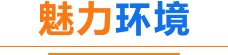 魅力环境